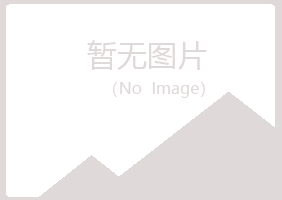 岐山县又菱采矿有限公司